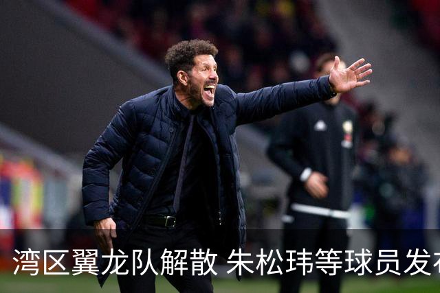 湾区翼龙队解散 朱松玮等球员发布声明维权