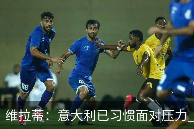 维拉蒂：意大利已习惯面对压力 我们该全力以赴
